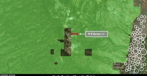 0 Genoa Peak Road, Stateline, NV 89449 Photo