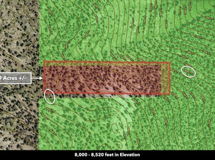 0 Genoa Peak Road, Stateline, NV 89449 Photo