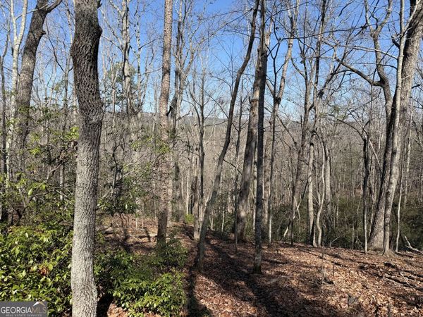 0 Tanager Trail, Alto, GA 30510