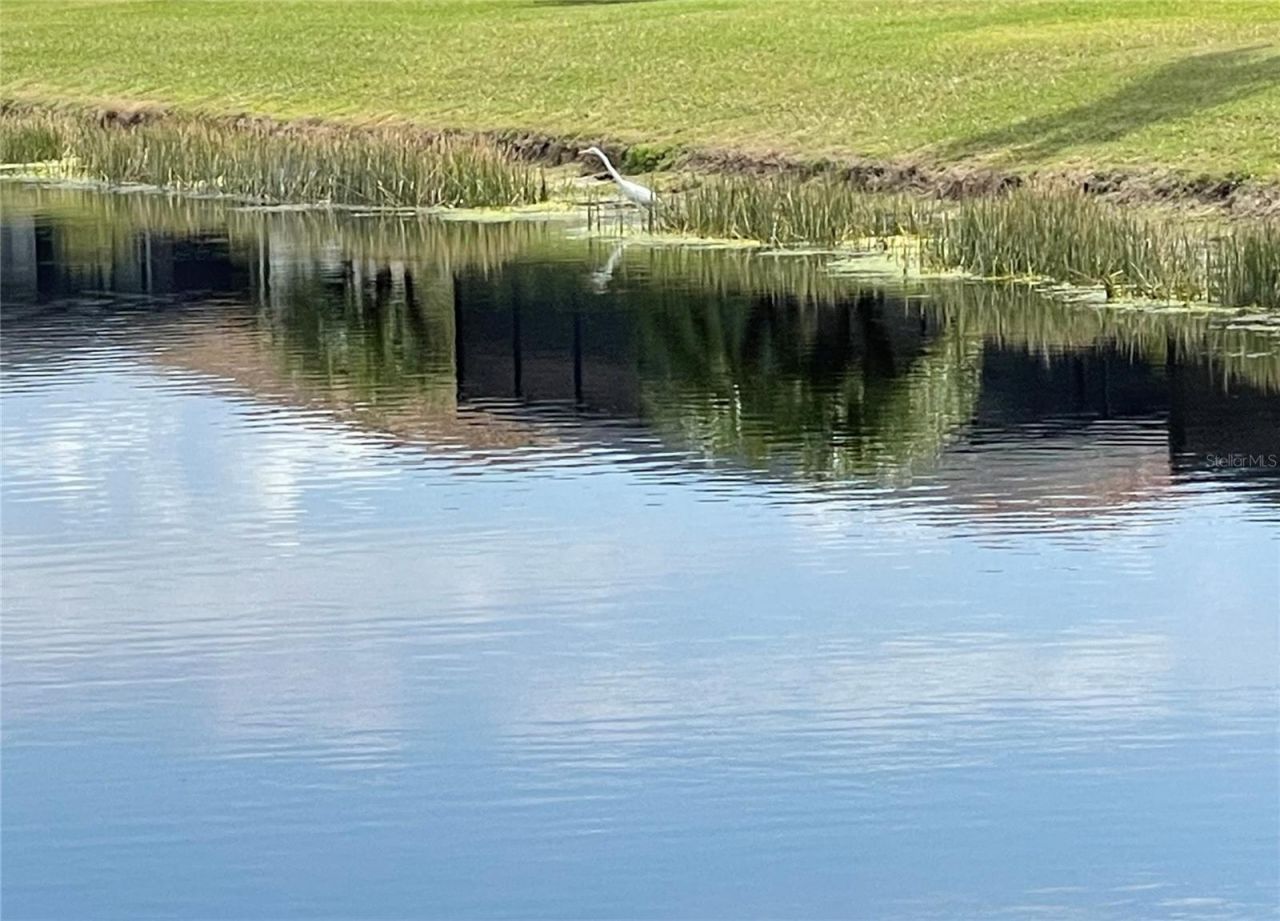 307 Whispering Palms Lane, Bradenton, FL 34212 Photo