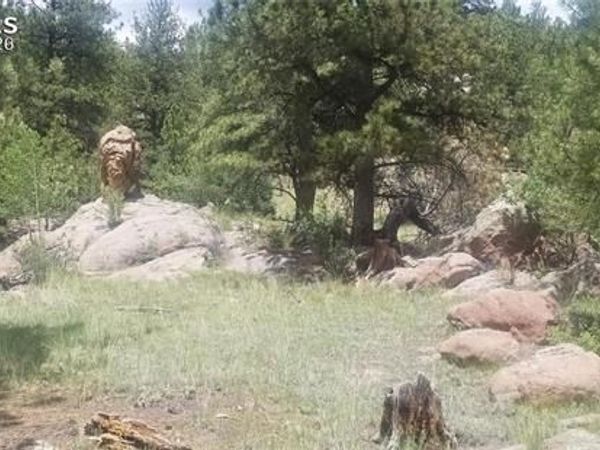 61 Canyon Drive, Florissant, CO 80816