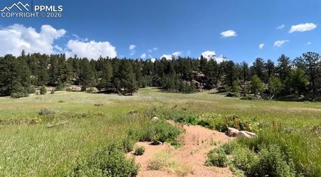 61 Canyon Drive, Florissant, CO 80816 Main Photo