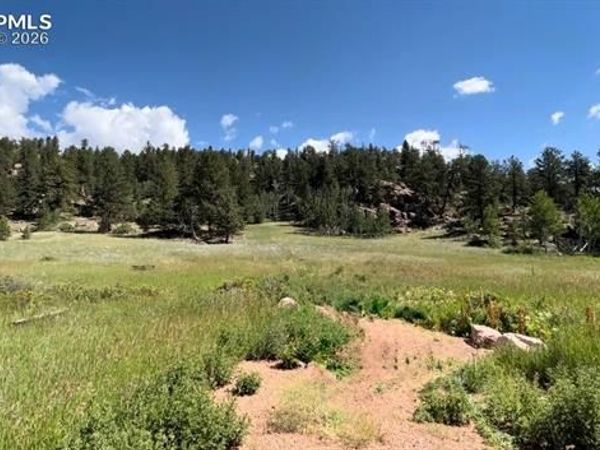 61 Canyon Drive, Florissant, CO 80816