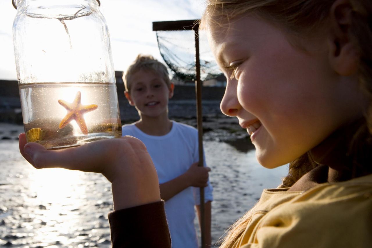 75 Mckissick Dr. Photo 26