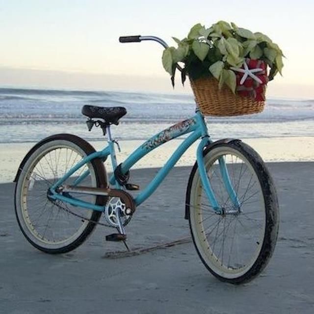 75 Mckissick Dr. Photo 27