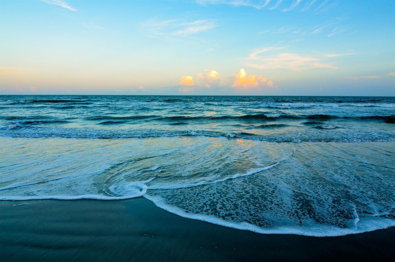 54 Brandon Way  Photo 46