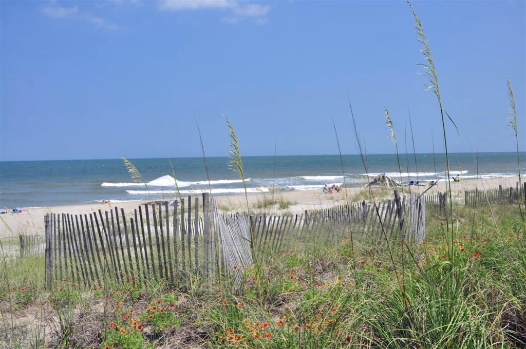 54 Brandon Way  Photo 47