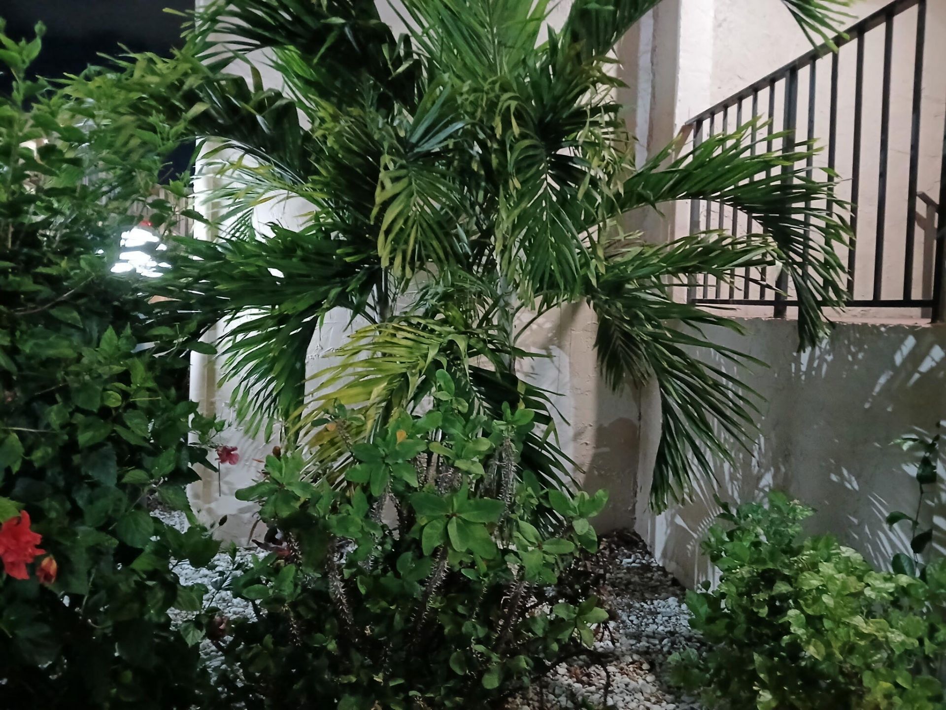 721 Lori Drive, Unit 309, Palm Springs, FL 33461 Photo