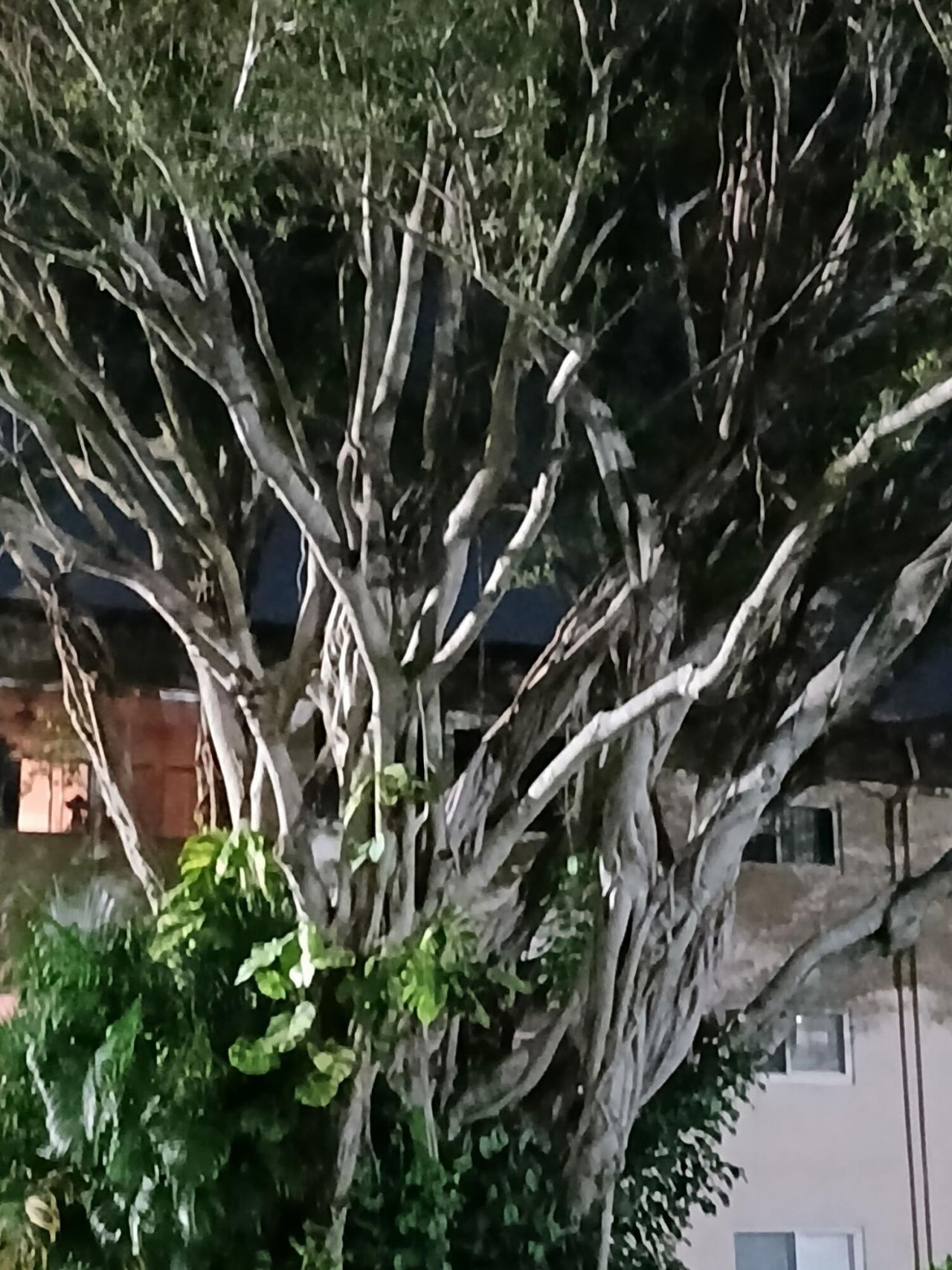 721 Lori Drive, Unit 309, Palm Springs, FL 33461 Photo