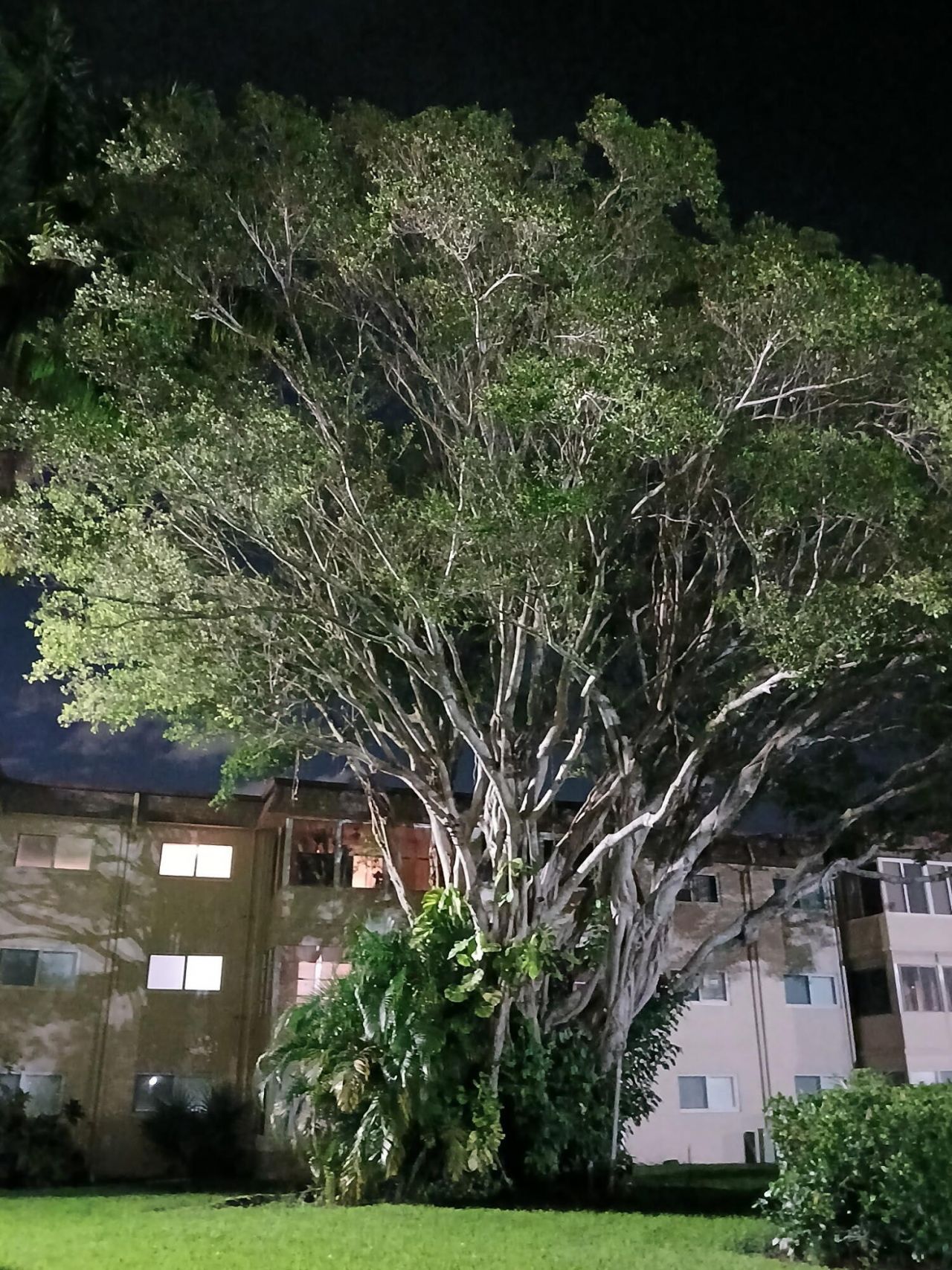 721 Lori Drive, Unit 309, Palm Springs, FL 33461 Photo