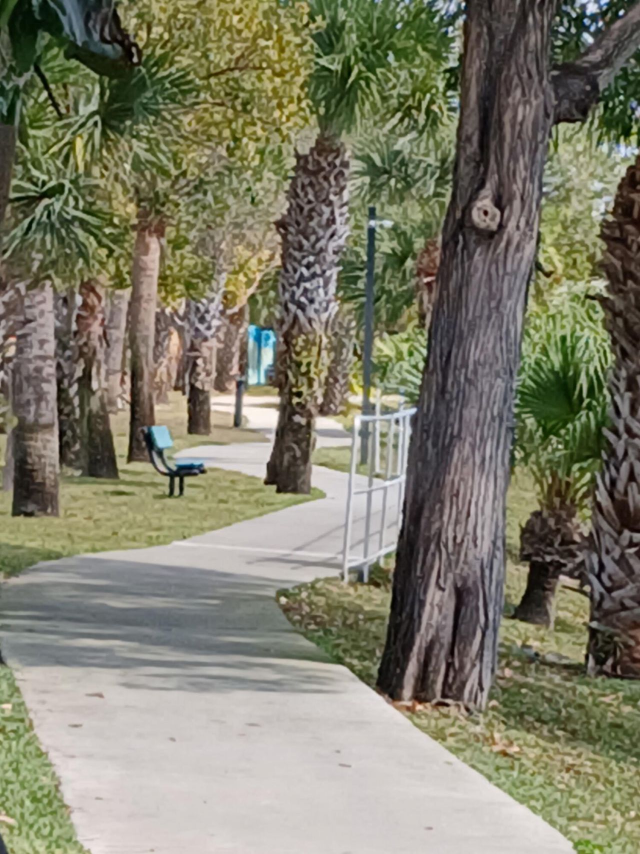 721 Lori Drive, Unit 309, Palm Springs, FL 33461 Photo