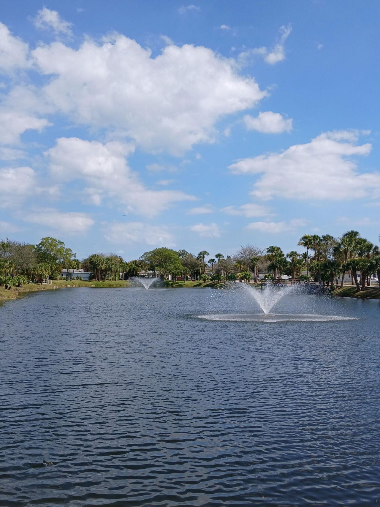 721 Lori Drive, Unit 309, Palm Springs, FL 33461 Photo