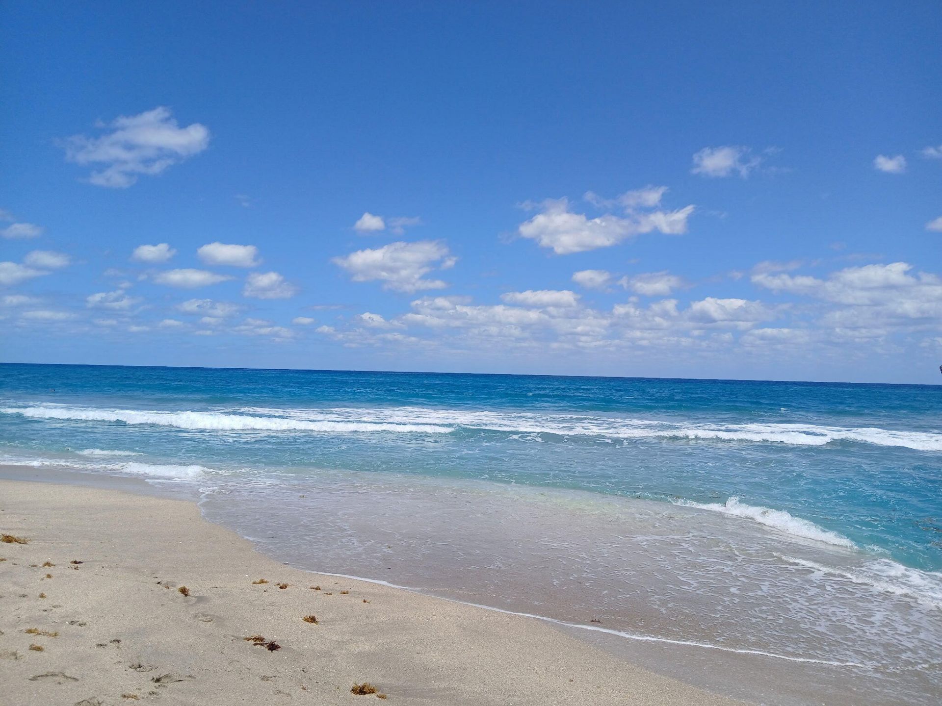 721 Lori Drive, Unit 309, Palm Springs, FL 33461 Photo