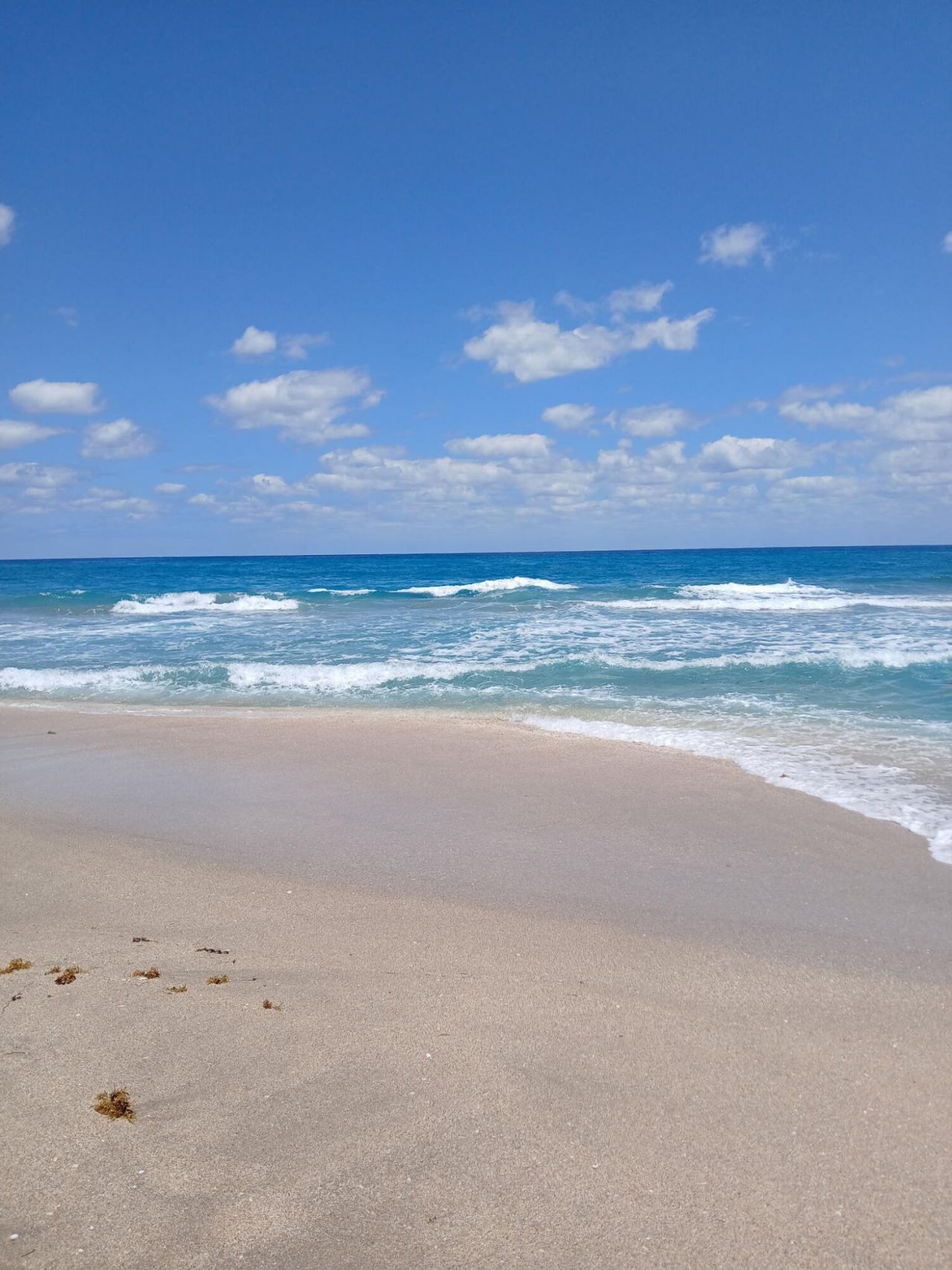 721 Lori Drive, Unit 309, Palm Springs, FL 33461 Photo