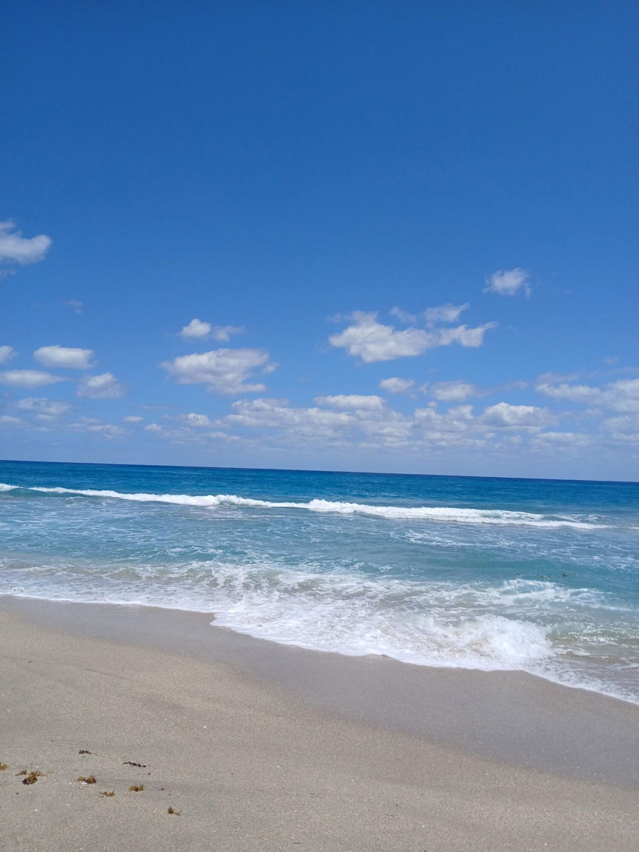 721 Lori Drive, Unit 309, Palm Springs, FL 33461 Photo