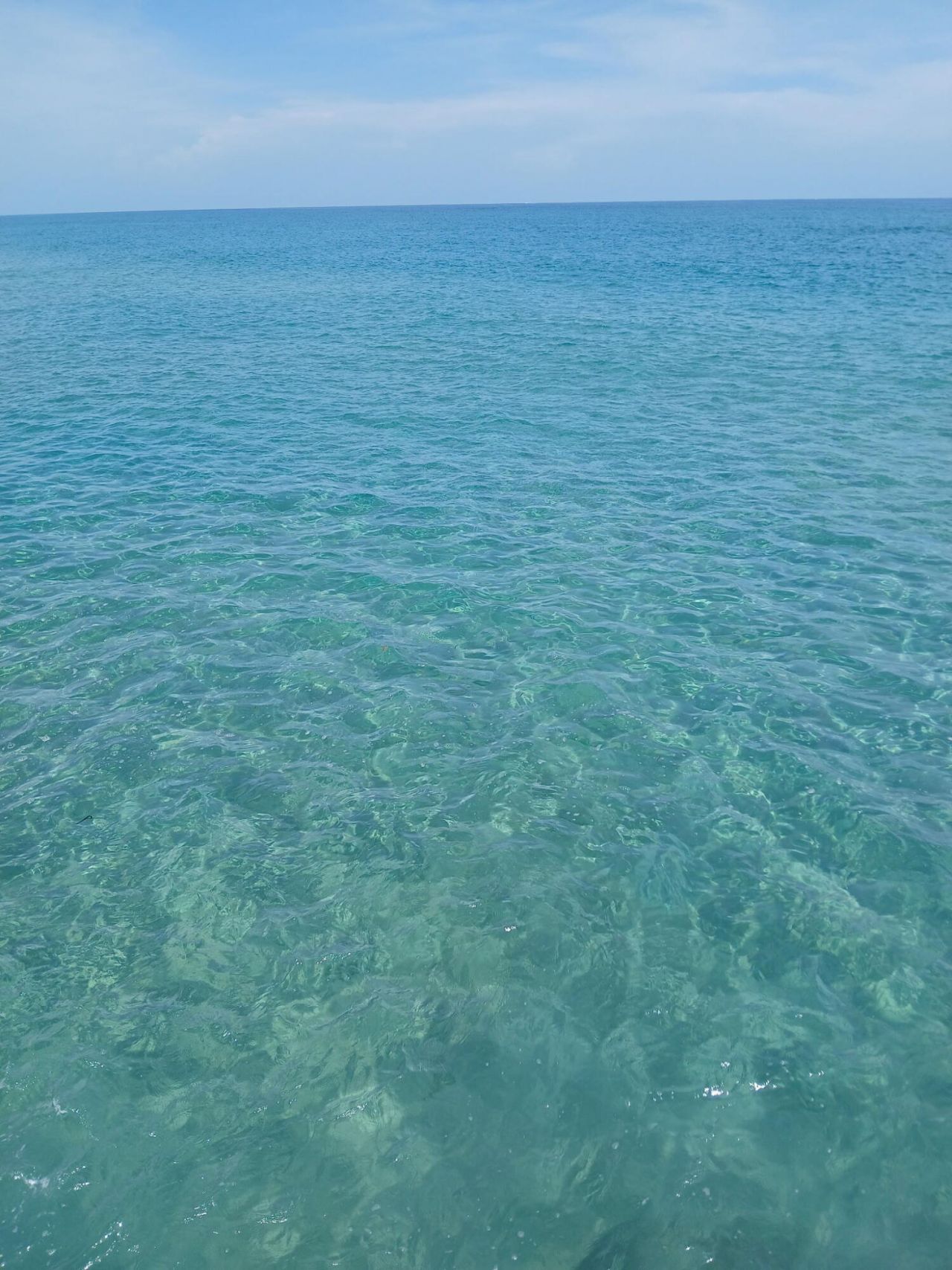 721 Lori Drive, Unit 309, Palm Springs, FL 33461 Photo