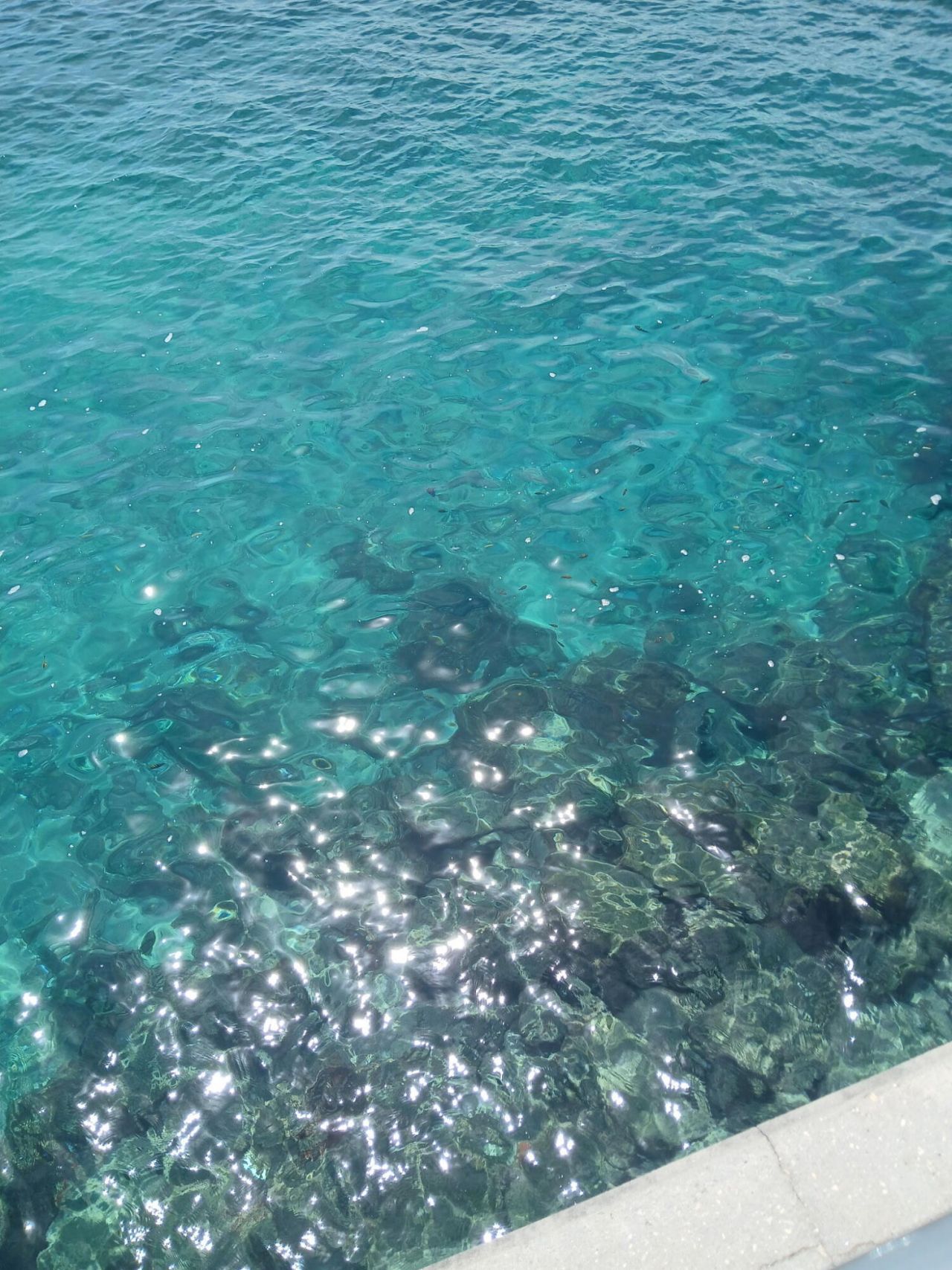 721 Lori Drive, Unit 309, Palm Springs, FL 33461 Photo