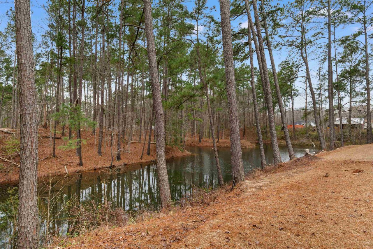 109 Obd Way Photo 37