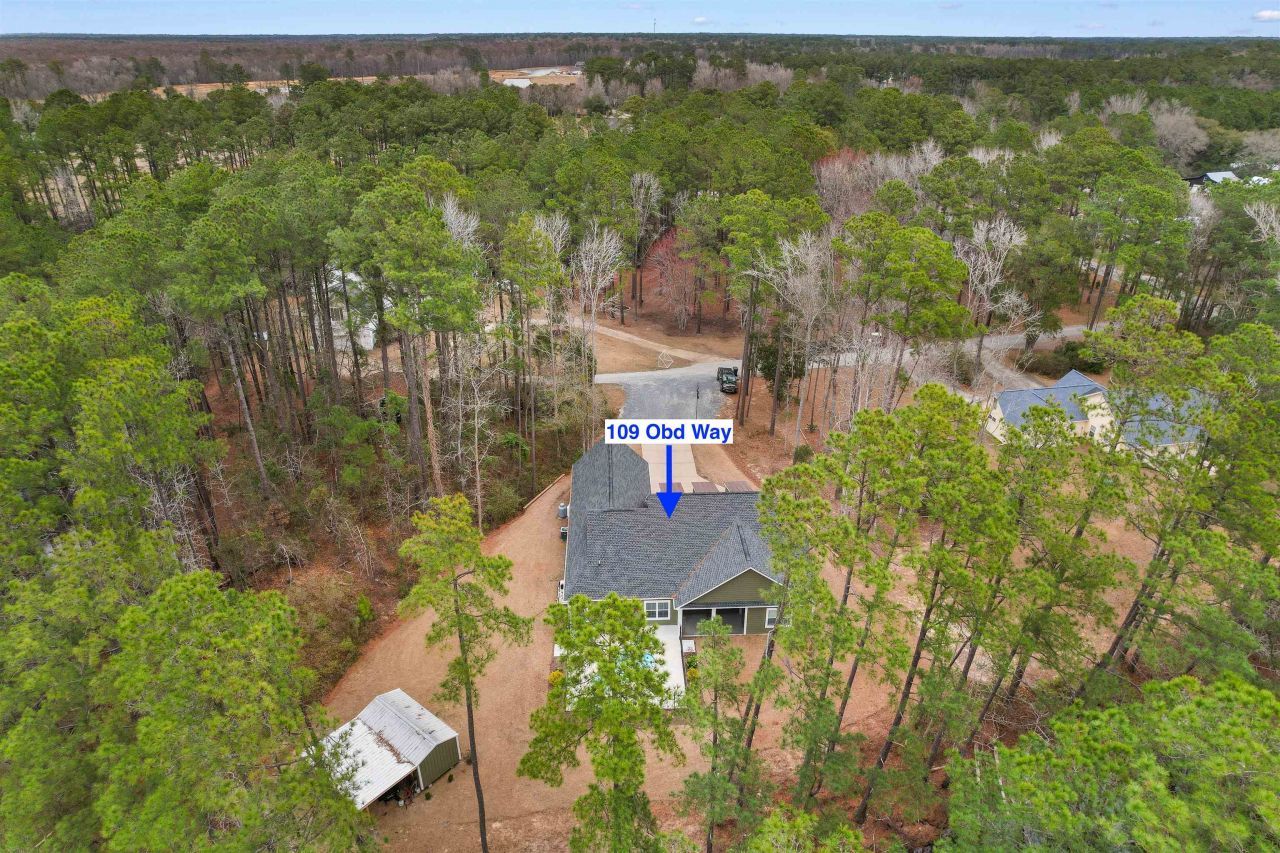 109 Obd Way Photo 43