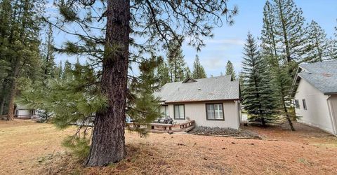 133 Cottonwood Drive, Blairsden, CA 00000 Photo