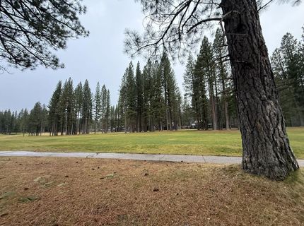 133 Cottonwood Drive, Blairsden, CA 00000 Photo