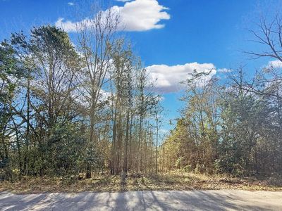 475 Coleman Avenue, Orangeburg, SC 29115