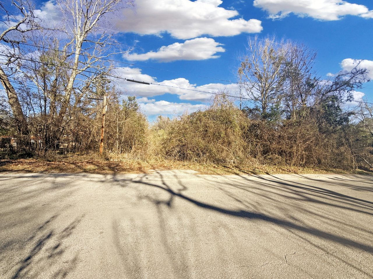 475 Coleman Avenue Photo 4