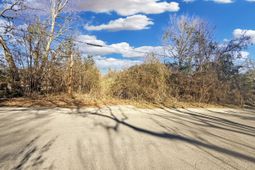 475 Coleman Avenue photo 4