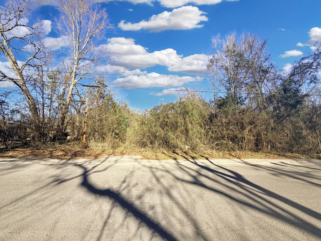 475 Coleman Avenue Photo 5