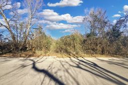 475 Coleman Avenue photo 4