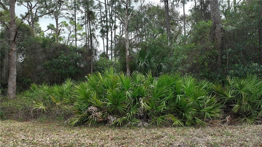 9245 Aegean Cir, Lehigh Acres, FL 33936 Photo