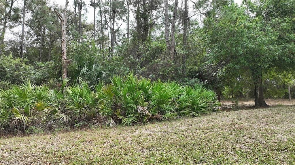 9245 Aegean Cir, Lehigh Acres, FL 33936 Photo