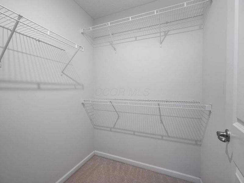 801 Blackmore Drive, Delaware, OH 43015 Photo 39