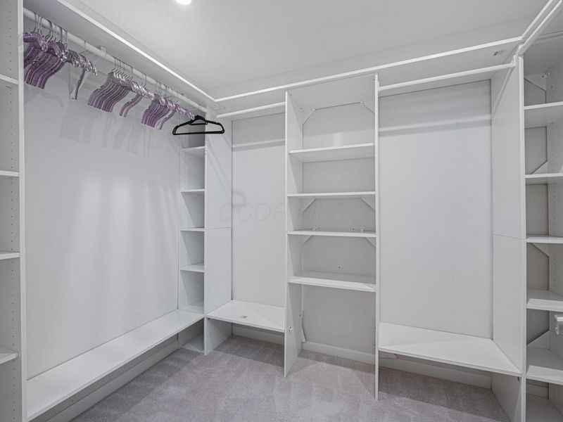 801 Blackmore Drive, Delaware, OH 43015 Photo 45