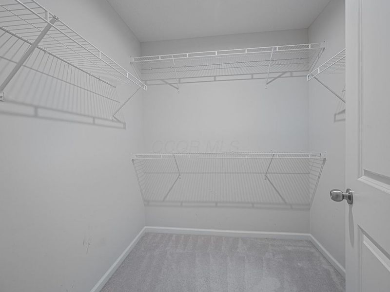 801 Blackmore Drive, Delaware, OH 43015 Photo 46