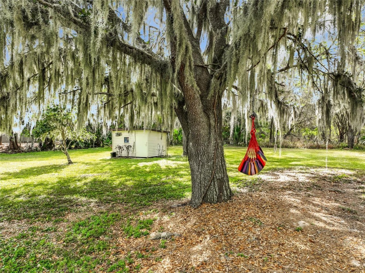 8408 Lakeshore Drive, Yalaha, FL 34797 Photo