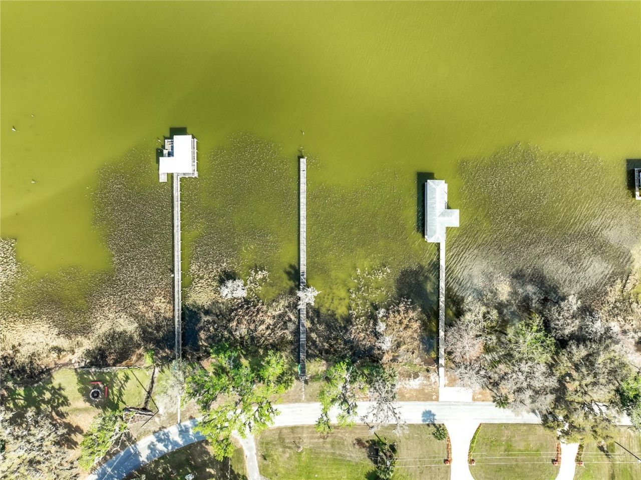 8408 Lakeshore Drive, Yalaha, FL 34797 Photo