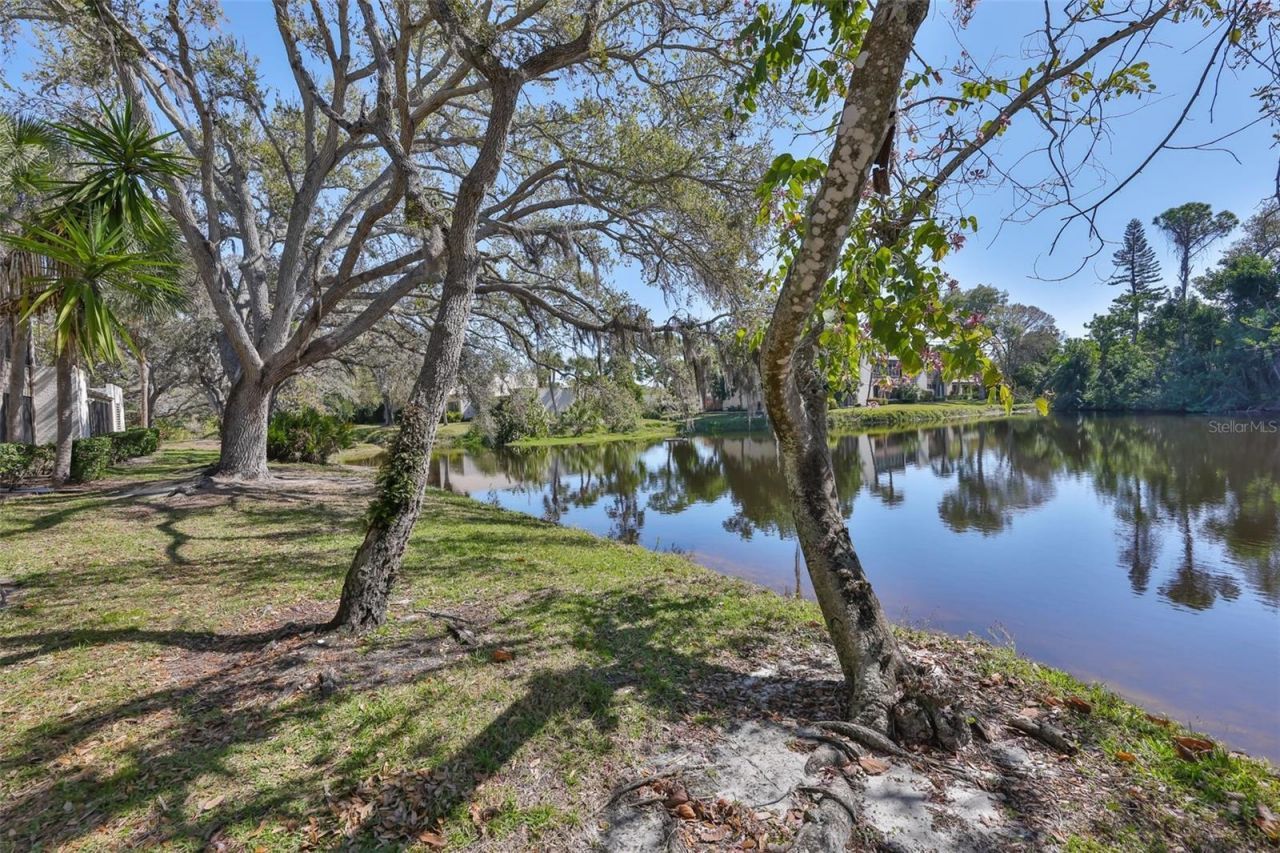 635 Woodlawn Drive, Unit 635, Bradenton, FL 34210 Photo