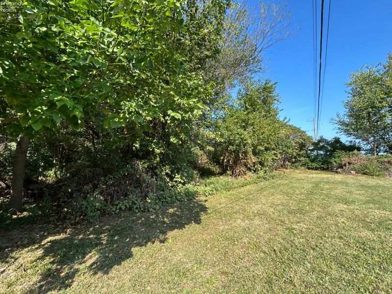 23 N Shore, Middle Bass Island, OH 43446 Photo 12