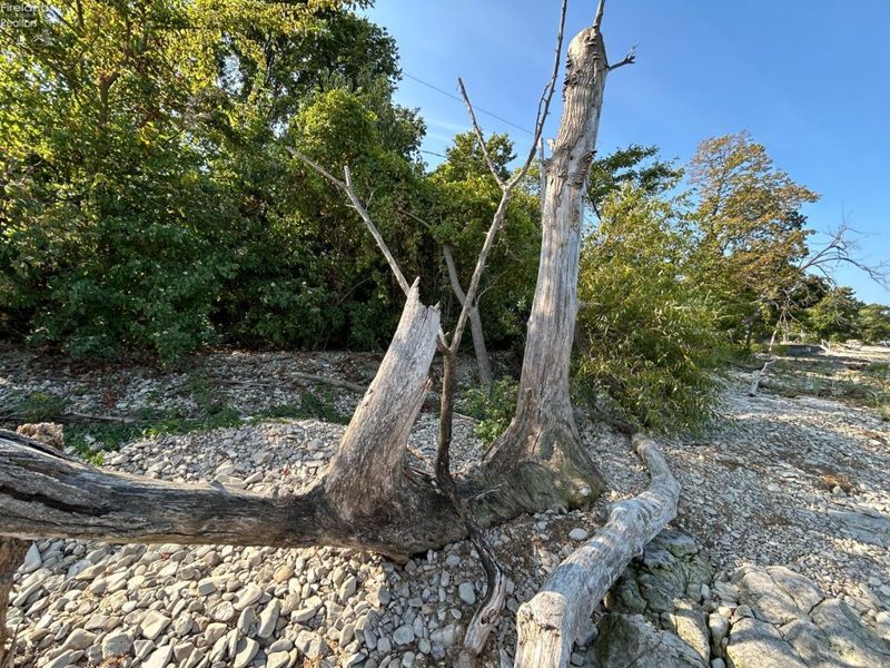 23 N Shore, Middle Bass Island, OH 43446 Photo 4