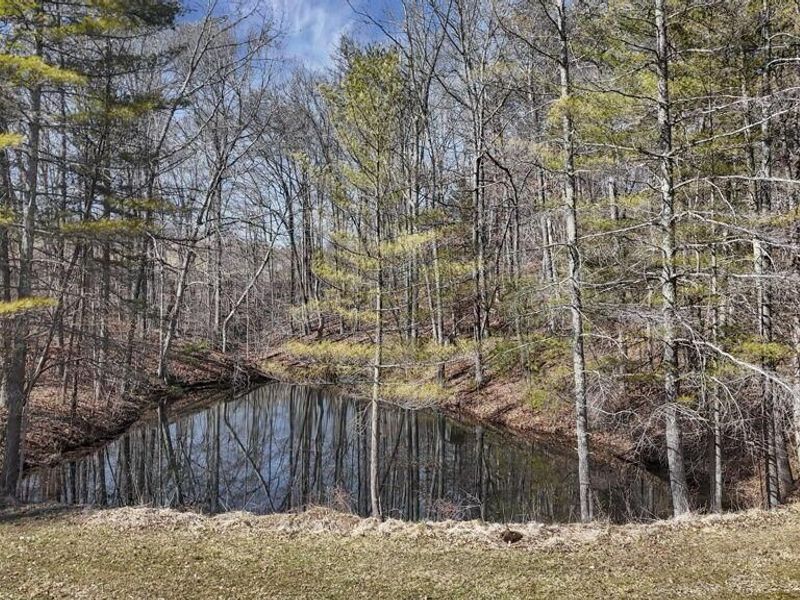 26039 State Route 180, Rockbridge, OH 43149 Photo 23