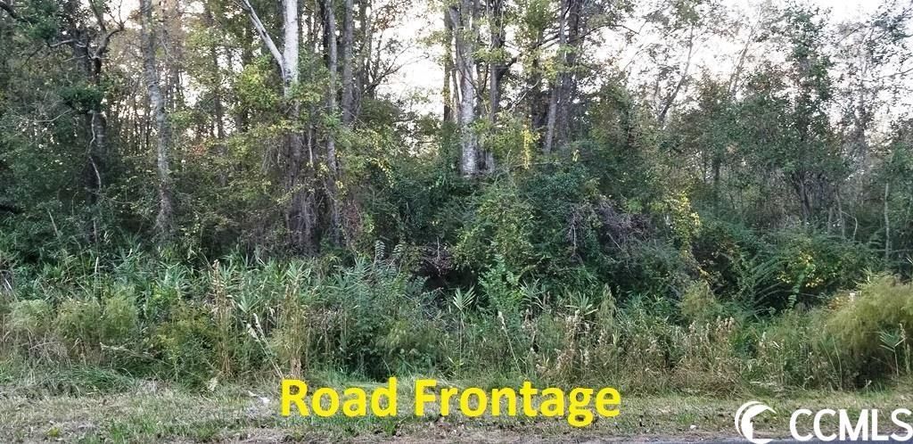 Tract A S Browns Way Shortcut Rd. Photo 5