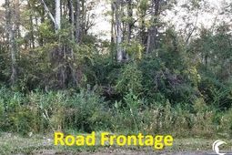 Tract A S Browns Way Shortcut Rd. photo 4