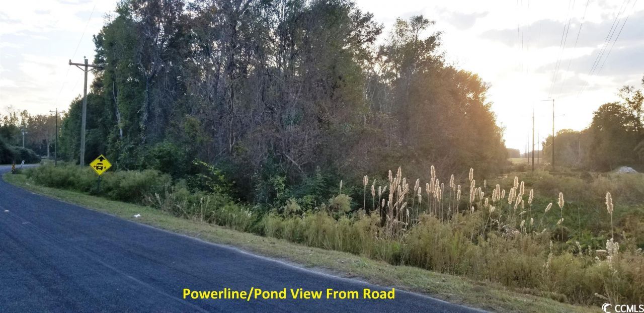 Tract A S Browns Way Shortcut Rd. Photo 7