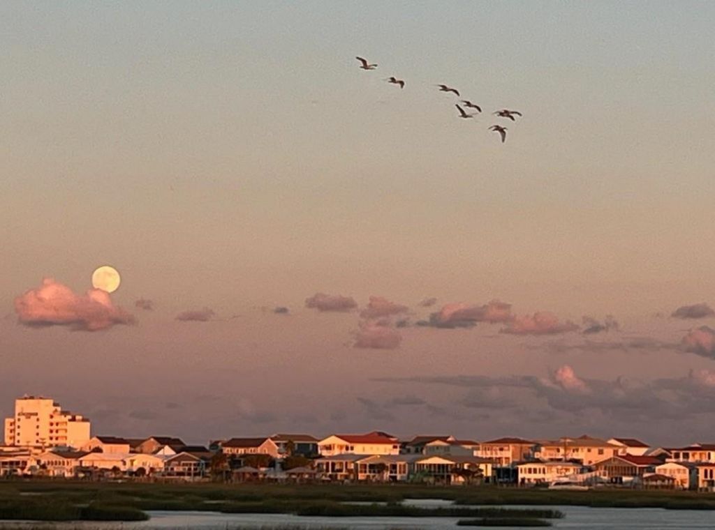 3111 First Ave. S Photo 66