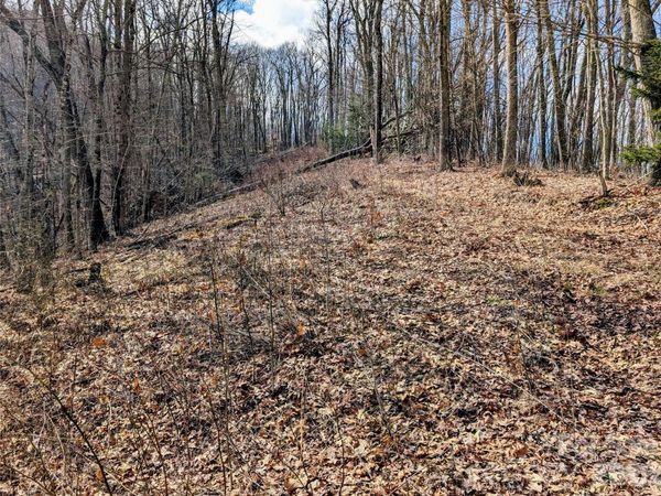 #49 Hazel Top Section, Teaberry Ridge Road , Waynesville, NC 28786