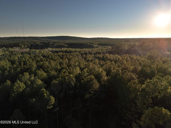 County Road 2414, Louin, MS 39338