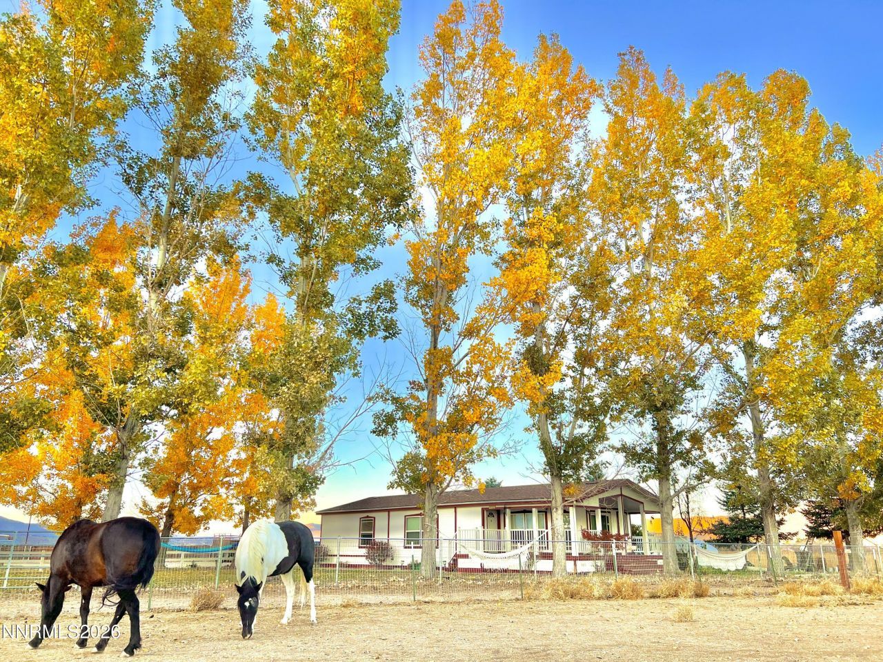 2801 Tamara Court, Minden, NV 89423 Photo