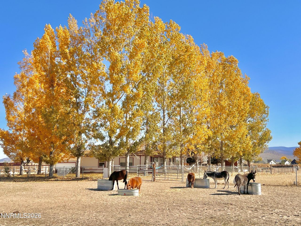 2801 Tamara Court, Minden, NV 89423 Photo