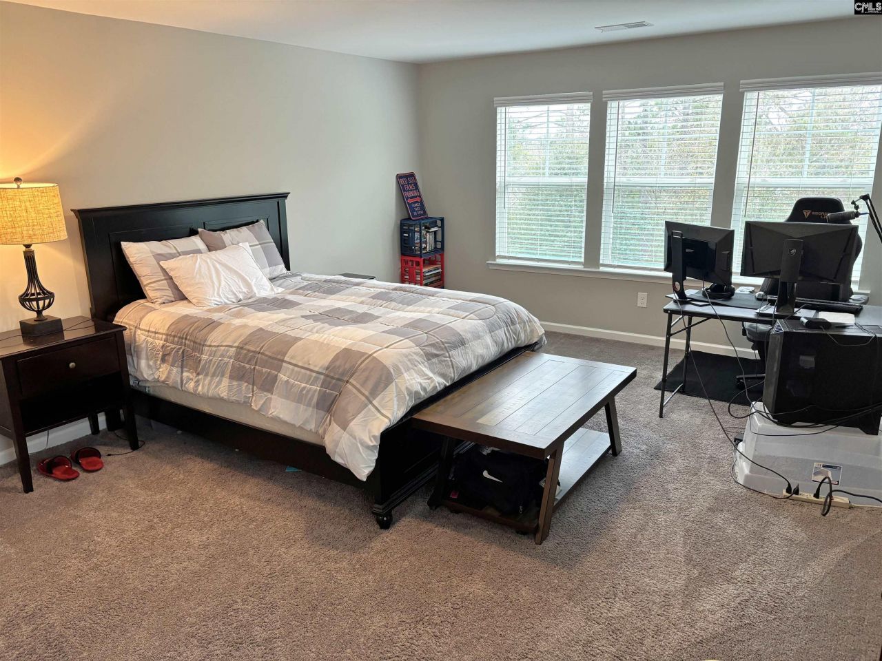 602 Frow Drive  Photo 37